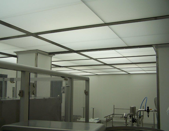 celula (1) 1
